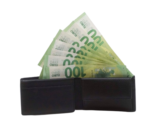 Cartera monedero, saliendo de ella billetes de cien euros.